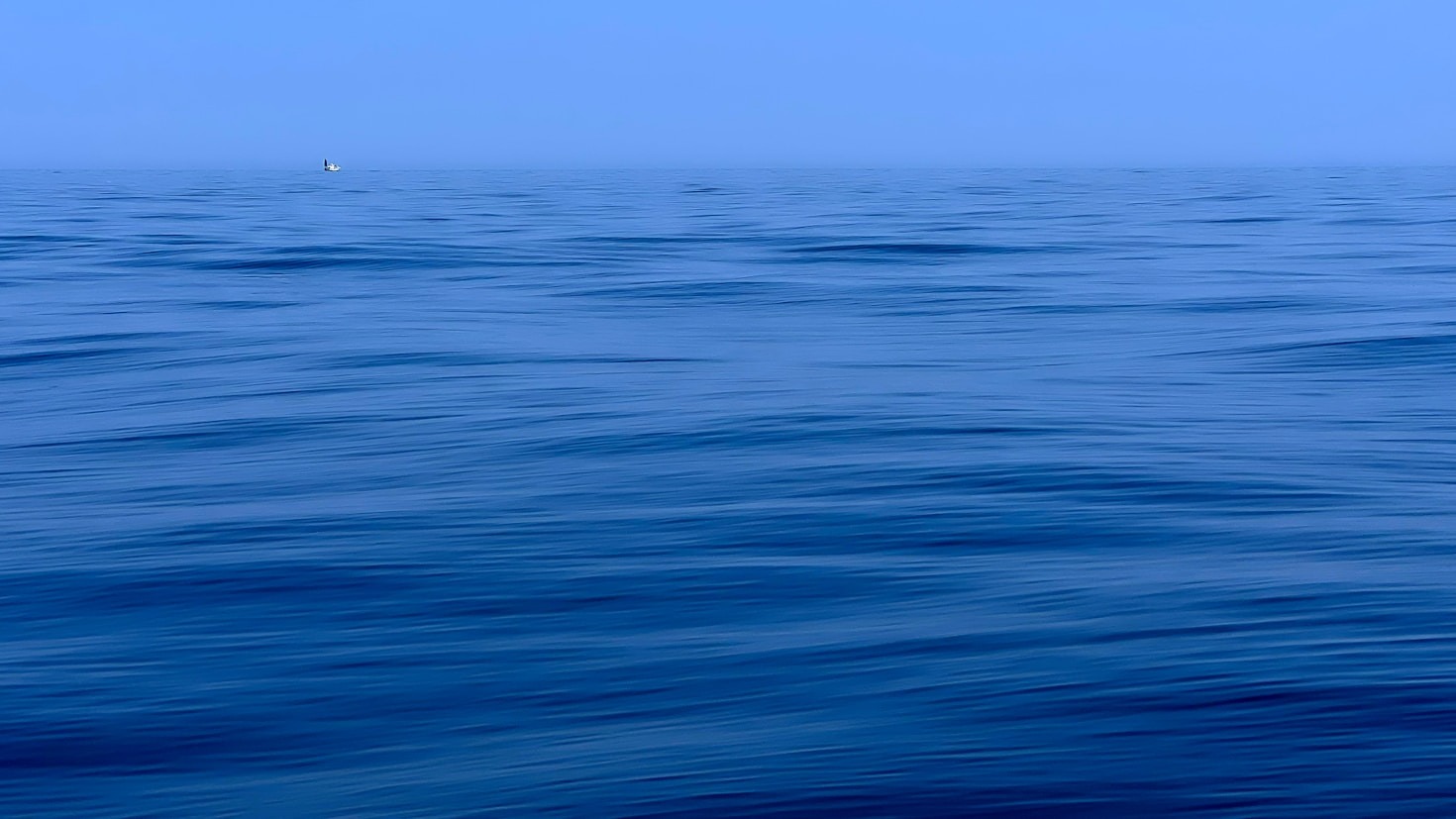 How Transparency Transforms Global Marine Governance