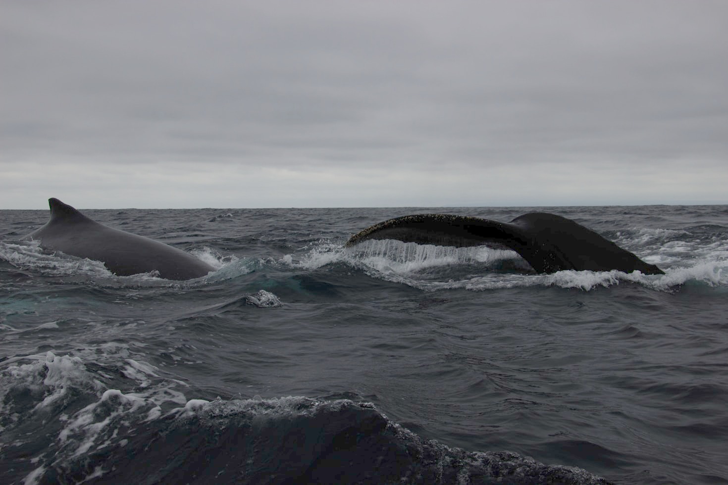 The Future of Just and Effective Ocean Governance