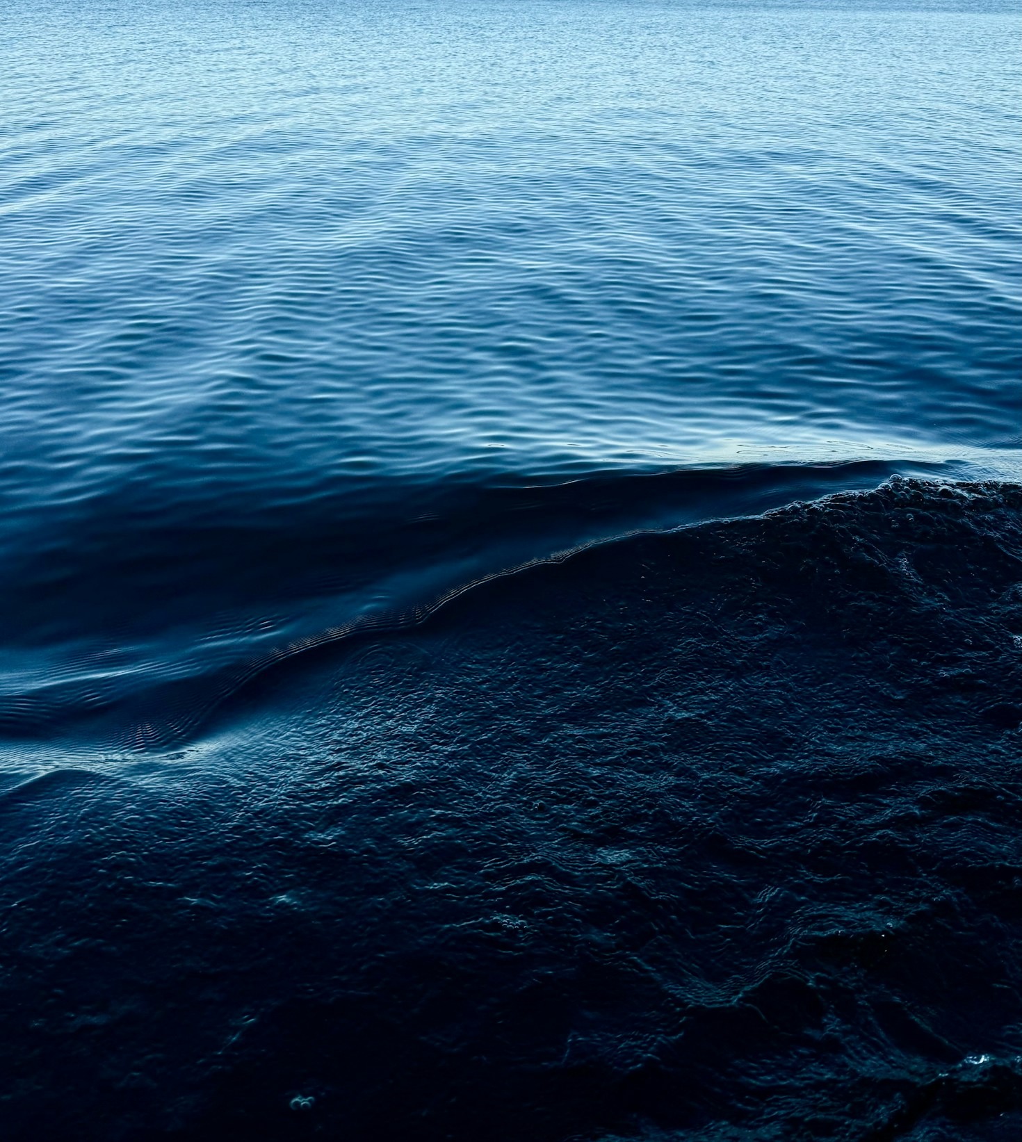 Collaborative Approaches to Marine Stewardship and Reform