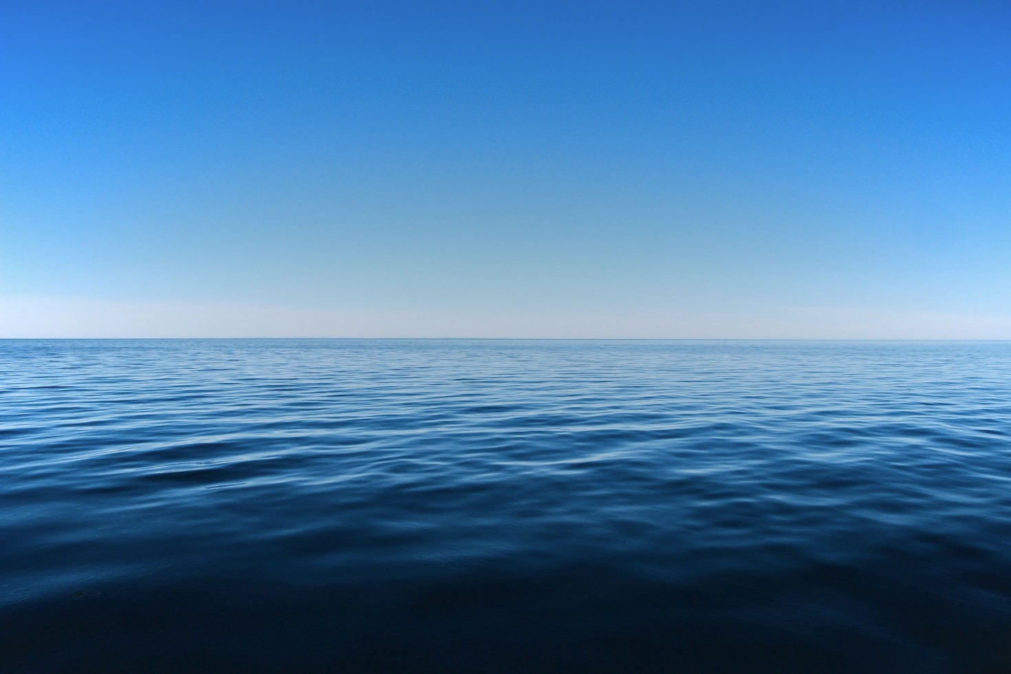The Impact of Governance on Ocean Ecosystems and Communities